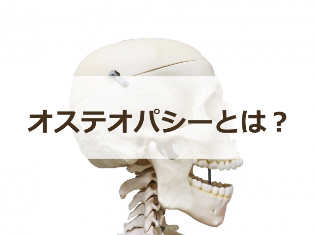 3713829_s